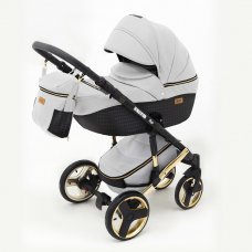 Детская коляска RAY Ultra Gold 2 в 1